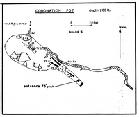 NPC J82 Coronation Pot